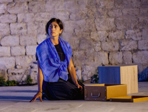 Il giardino dei ciliegi - Saggi Teatro Cast